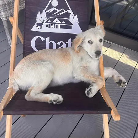 Chalet Osada W Gliczarowej Dolinie, Chata Z 6 Sypialniami Z Lazienkami Gliczarów